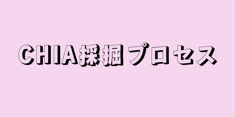 CHIA採掘プロセス