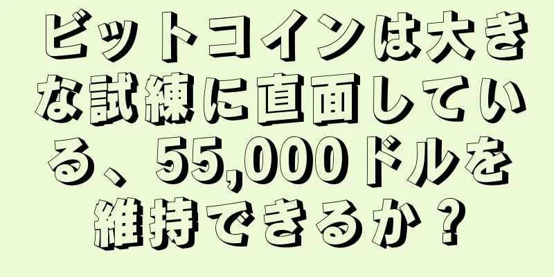 ビットコインは大きな試練に直面している、55,000ドルを維持できるか？