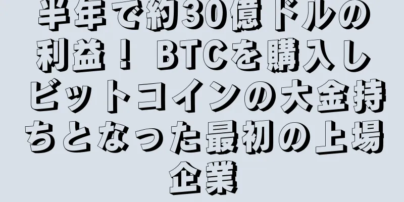 半年で約30億ドルの利益！ BTCを購入しビットコインの大金持ちとなった最初の上場企業