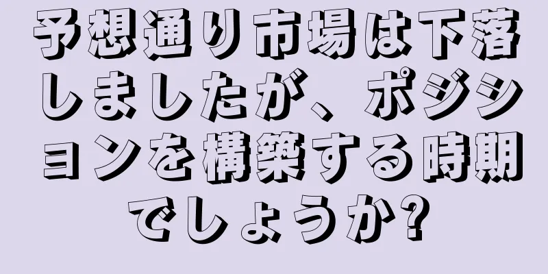 予想通り市場は下落しましたが、ポジションを構築する時期でしょうか?