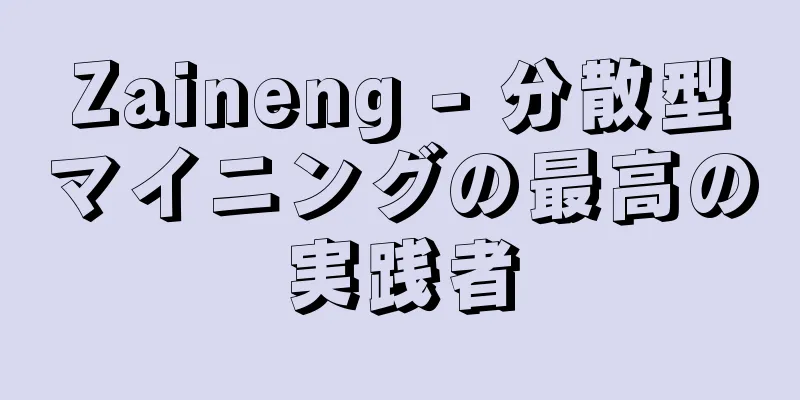 Zaineng - 分散型マイニングの最高の実践者