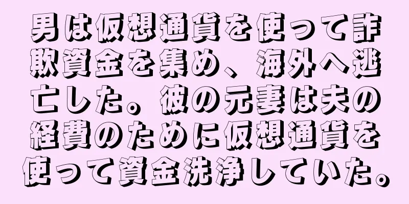 男は仮想通貨を使って詐欺資金を集め、海外へ逃亡した。彼の元妻は夫の経費のために仮想通貨を使って資金洗浄していた。