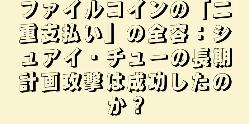 ファイルコインの「二重支払い」の全容：シュアイ・チューの長期計画攻撃は成功したのか？
