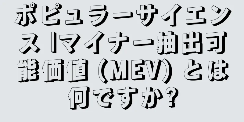 ポピュラーサイエンス |マイナー抽出可能価値 (MEV) とは何ですか?