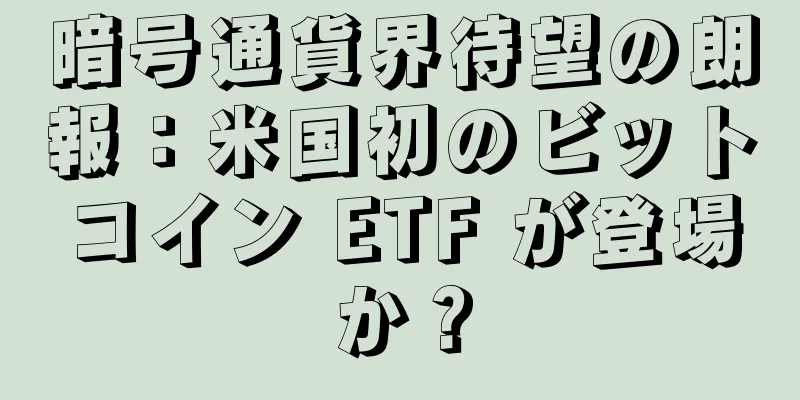 暗号通貨界待望の朗報：米国初のビットコイン ETF が登場か？