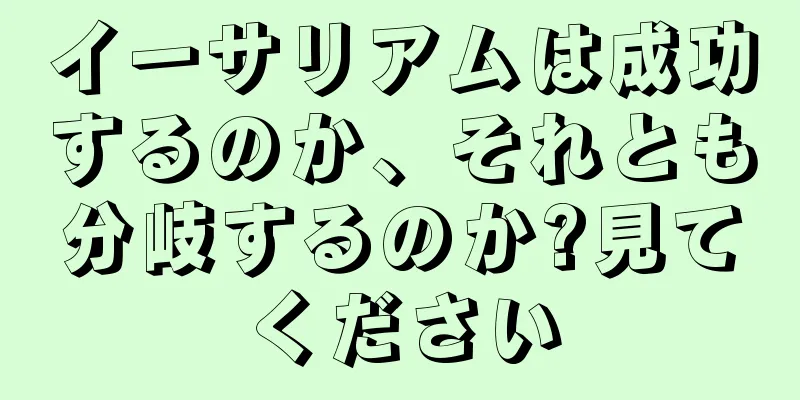 イーサリアムは成功するのか、それとも分岐するのか?見てください