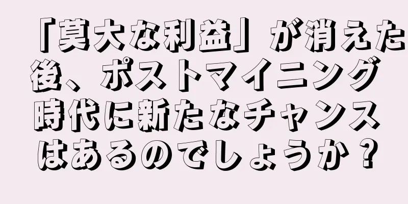 「莫大な利益」が消えた後、ポストマイニング時代に新たなチャンスはあるのでしょうか？