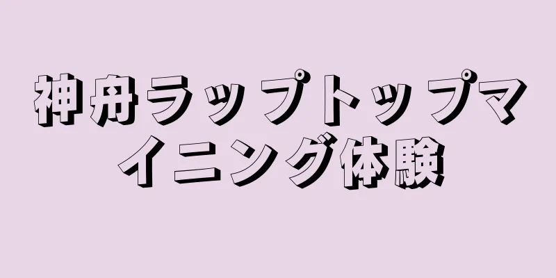 神舟ラップトップマイニング体験