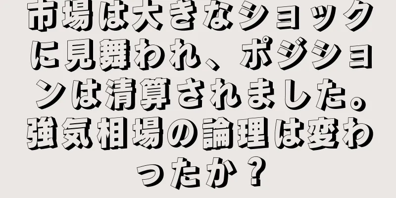 市場は大きなショックに見舞われ、ポジションは清算されました。強気相場の論理は変わったか？