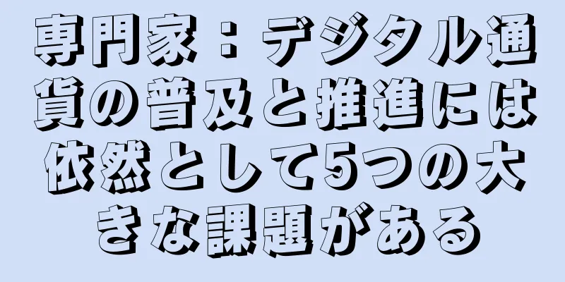専門家：デジタル通貨の普及と推進には依然として5つの大きな課題がある