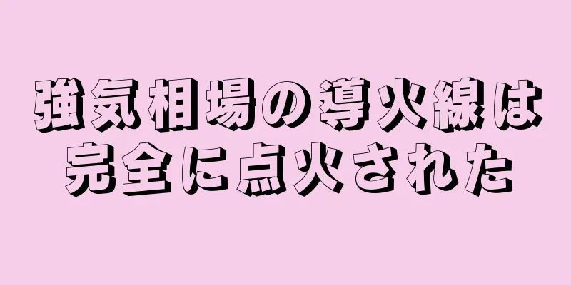 強気相場の導火線は完全に点火された