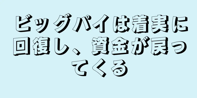 ビッグパイは着実に回復し、資金が戻ってくる