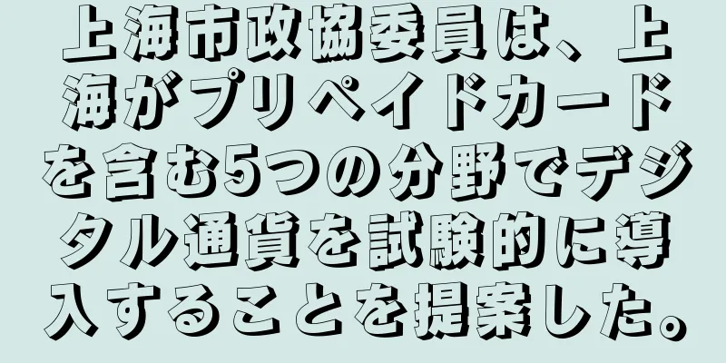 上海市政協委員は、上海がプリペイドカードを含む5つの分野でデジタル通貨を試験的に導入することを提案した。