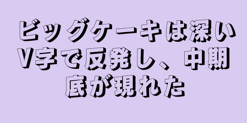 ビッグケーキは深いV字で反発し、中期底が現れた