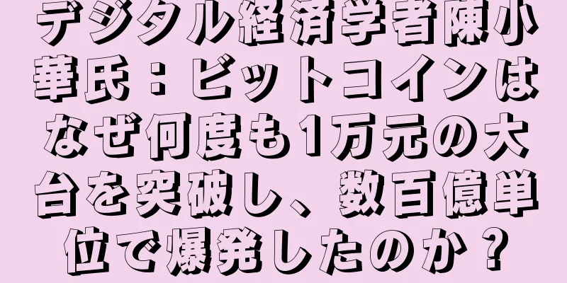 デジタル経済学者陳小華氏：ビットコインはなぜ何度も1万元の大台を突破し、数百億単位で爆発したのか？
