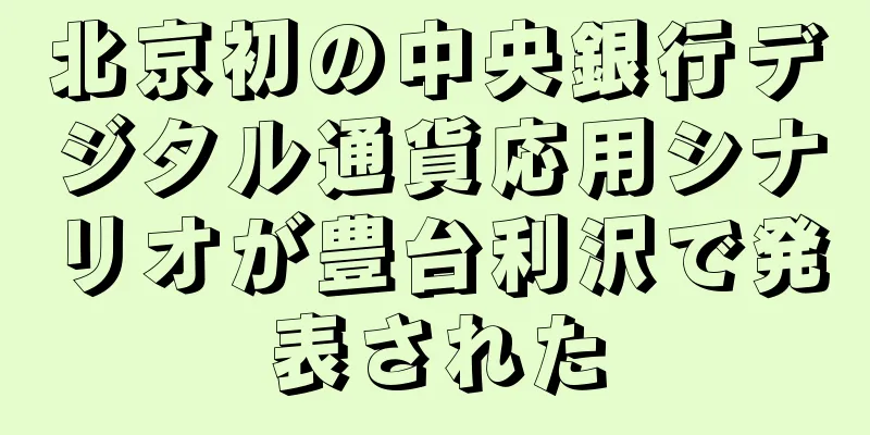 北京初の中央銀行デジタル通貨応用シナリオが豊台利沢で発表された