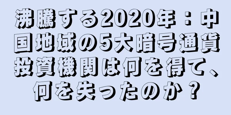 沸騰する2020年：中国地域の5大暗号通貨投資機関は何を得て、何を失ったのか？