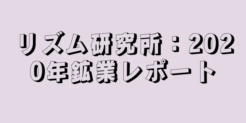 リズム研究所：2020年鉱業レポート