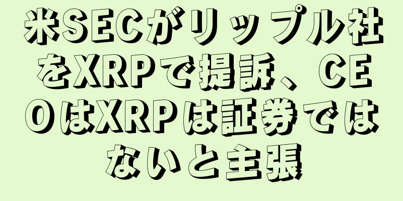 米SECがリップル社をXRPで提訴、CEOはXRPは証券ではないと主張