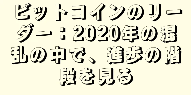 ビットコインのリーダー：2020年の混乱の中で、進歩の階段を見る