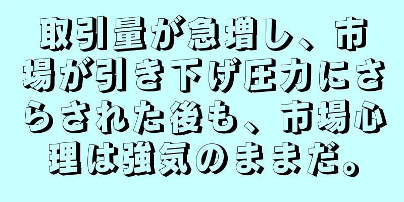 取引量が急増し、市場が引き下げ圧力にさらされた後も、市場心理は強気のままだ。