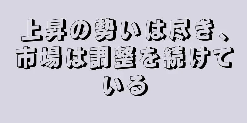 上昇の勢いは尽き、市場は調整を続けている