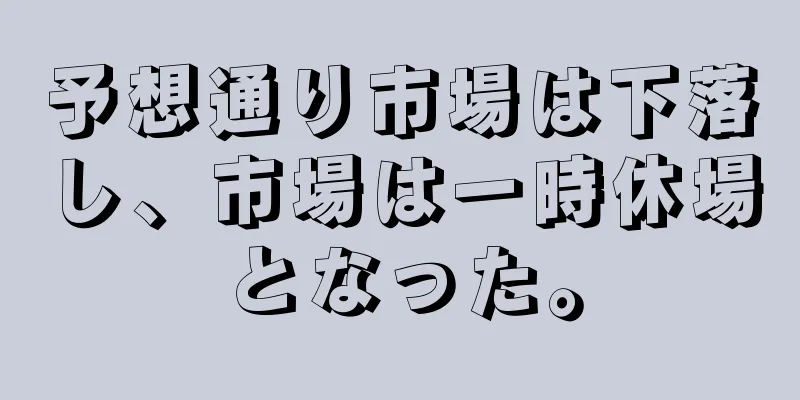 予想通り市場は下落し、市場は一時休場となった。