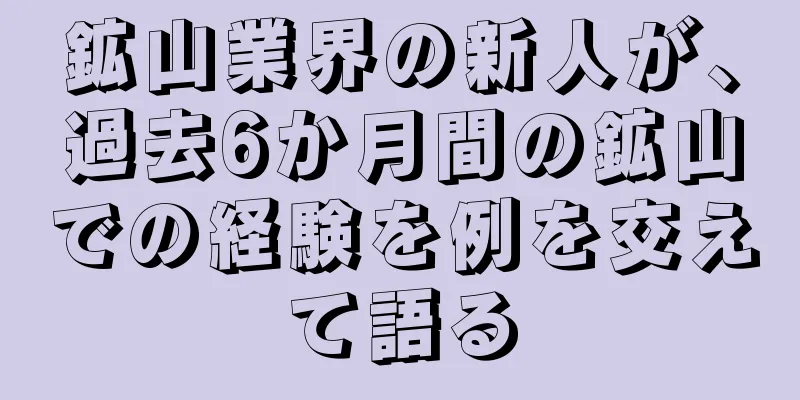 鉱山業界の新人が、過去6か月間の鉱山での経験を例を交えて語る
