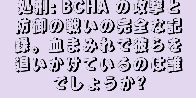 処刑: BCHA の攻撃と防御の戦いの完全な記録。血まみれで彼らを追いかけているのは誰でしょうか?