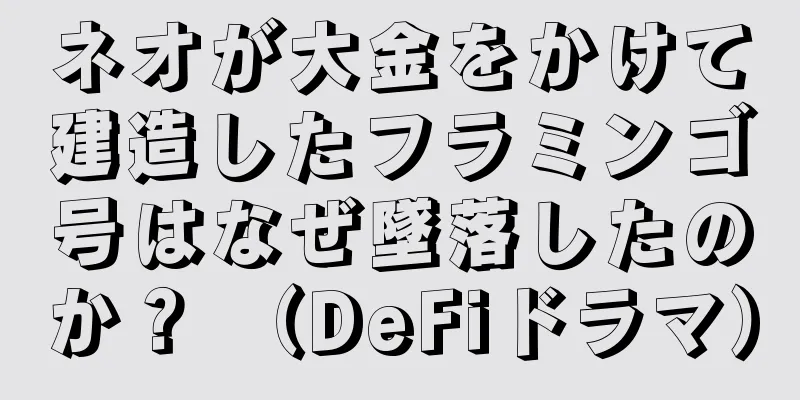 ネオが大金をかけて建造したフラミンゴ号はなぜ墜落したのか？ （DeFiドラマ）