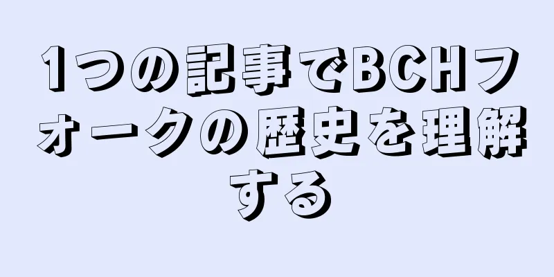 1つの記事でBCHフォークの歴史を理解する
