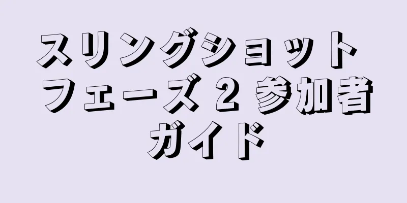 スリングショット フェーズ 2 参加者ガイド