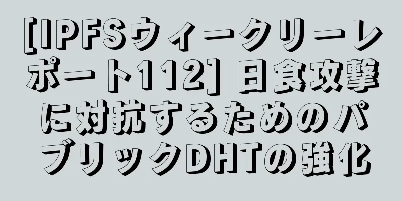 [IPFSウィークリーレポート112] 日食攻撃に対抗するためのパブリックDHTの強化