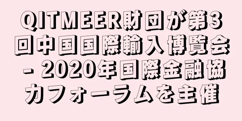 QITMEER財団が第3回中国国際輸入博覧会 - 2020年国際金融協力フォーラムを主催