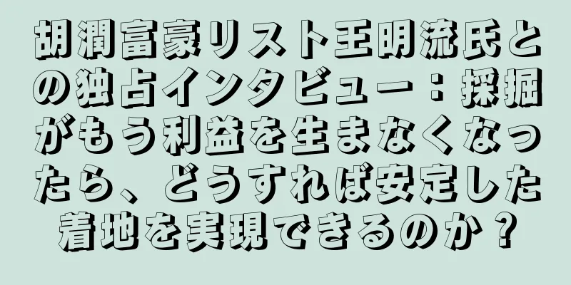 胡潤富豪リスト王明流氏との独占インタビュー：採掘がもう利益を生まなくなったら、どうすれば安定した着地を実現できるのか？