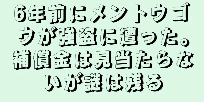 6年前にメントウゴウが強盗に遭った。補償金は見当たらないが謎は残る