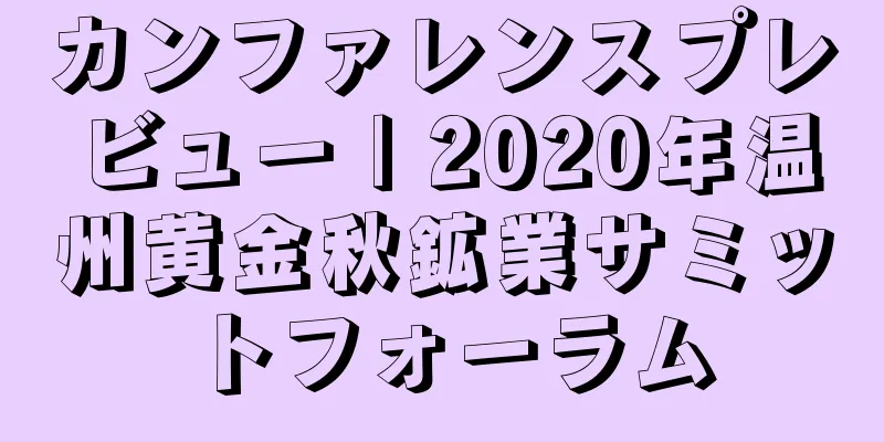 カンファレンスプレビュー | 2020年温州黄金秋鉱業サミットフォーラム