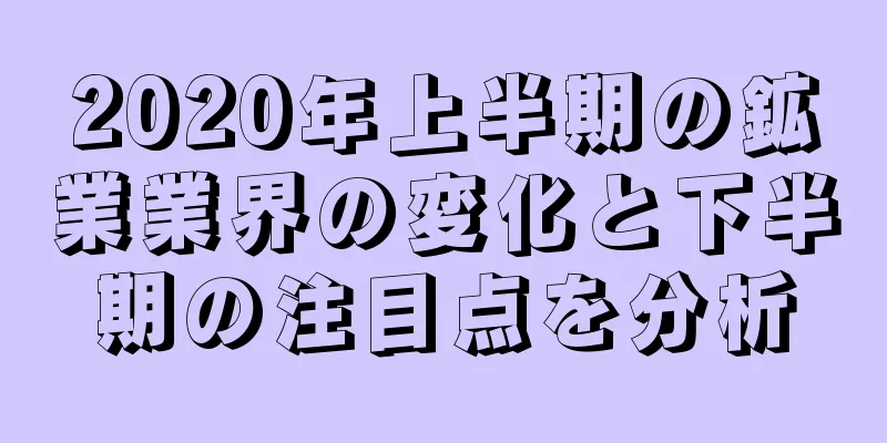2020年上半期の鉱業業界の変化と下半期の注目点を分析