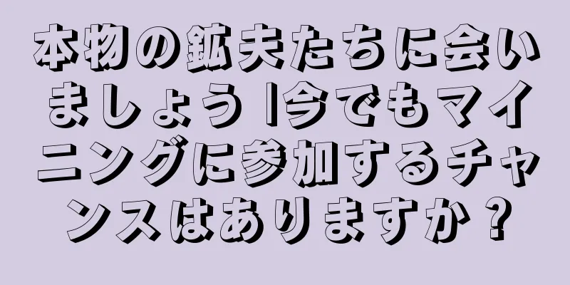 本物の鉱夫たちに会いましょう |今でもマイニングに参加するチャンスはありますか？