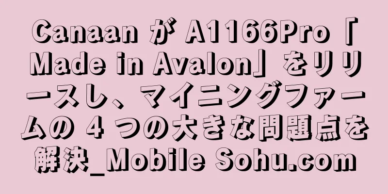 Canaan が A1166Pro「Made in Avalon」をリリースし、マイニングファームの 4 つの大きな問題点を解決_Mobile Sohu.com