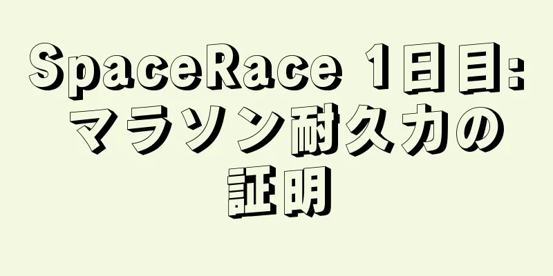 SpaceRace 1日目: マラソン耐久力の証明