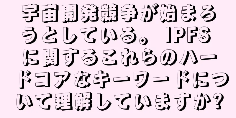 宇宙開発競争が始まろうとしている。 IPFS に関するこれらのハードコアなキーワードについて理解していますか?