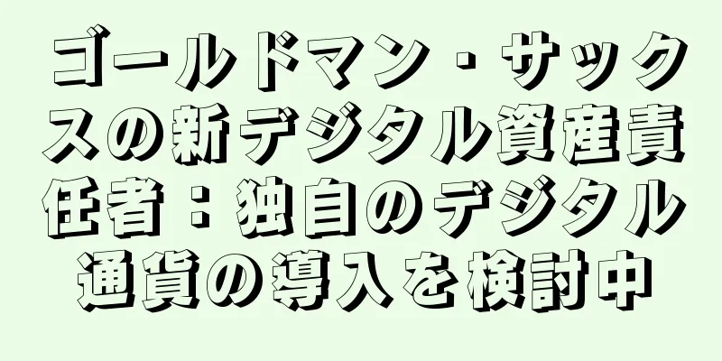 ゴールドマン・サックスの新デジタル資産責任者：独自のデジタル通貨の導入を検討中