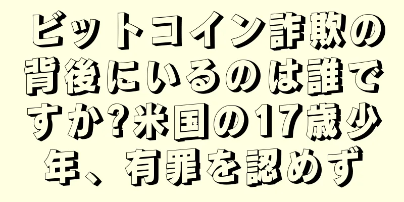 ビットコイン詐欺の背後にいるのは誰ですか?米国の17歳少年、有罪を認めず
