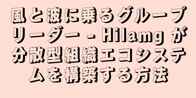 風と波に乗るグループリーダー - Hilamg が分散型組織エコシステムを構築する方法
