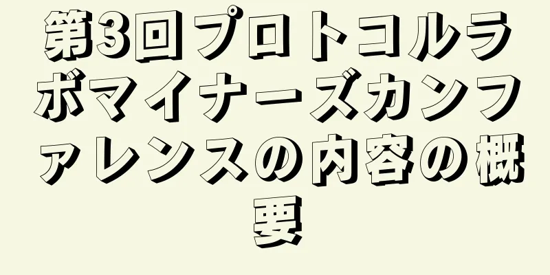 第3回プロトコルラボマイナーズカンファレンスの内容の概要