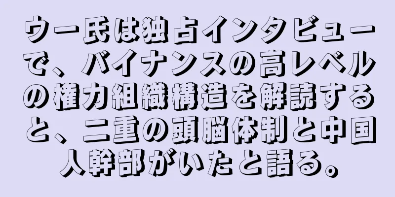 ウー氏は独占インタビューで、バイナンスの高レベルの権力組織構造を解読すると、二重の頭脳体制と中国人幹部がいたと語る。