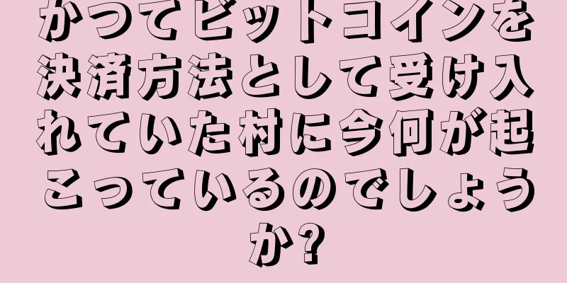 かつてビットコインを決済方法として受け入れていた村に今何が起こっているのでしょうか?