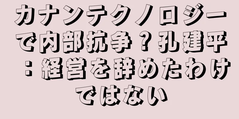 カナンテクノロジーで内部抗争？孔建平：経営を辞めたわけではない