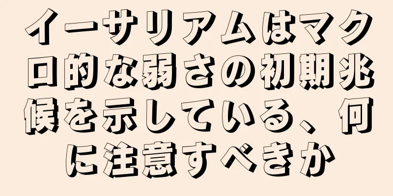 イーサリアムはマクロ的な弱さの初期兆候を示している、何に注意すべきか
